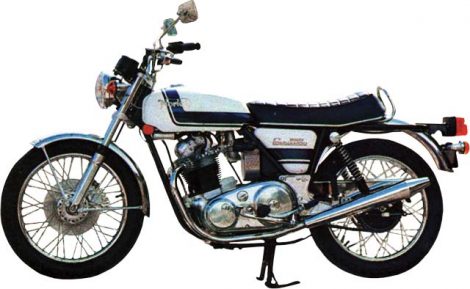 The Harley-Davidson Sportster 1000 Image